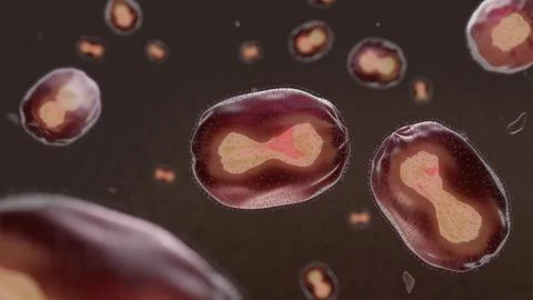 Artist's impression (3D) of Monkeypox virus under microscope. Illustration