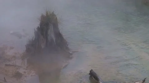 Artist's Paint Pot Stock Footage 42683087