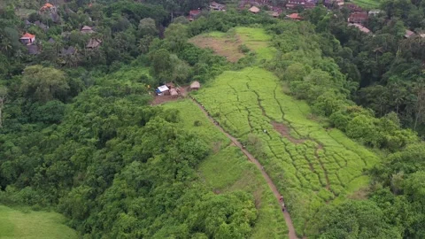 Artist's path in ubud in bali Stock Footage 130441821