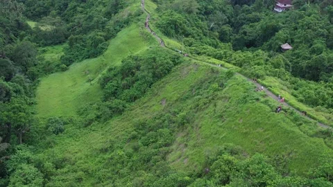 Artist's path in ubud in bali Stock Footage 130443373