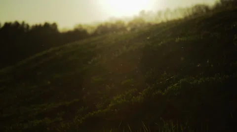 Artist's Sunset Stock Footage 27293915