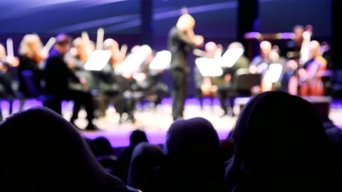 Artists of the symphony orchestra on stage. Selective focus Stock Footage 205062663