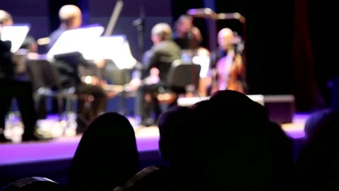 Artists of the symphony orchestra on stage. Selective focus Stock Footage 209145661