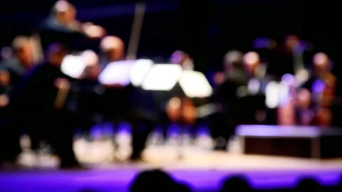Artists of the symphony orchestra on stage. Selective focus Stock Footage 209145665