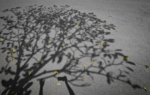 Art/objects Stock Photos