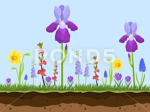 Artoon field flowers, green grass and earth layers on blue background vector Stock Illustration