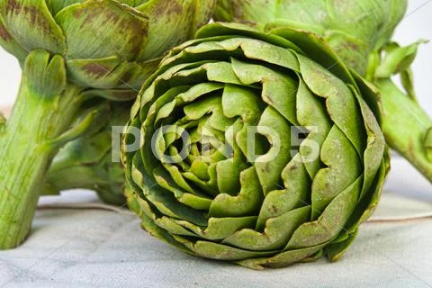 Artuchoke closeup Stock Photos
