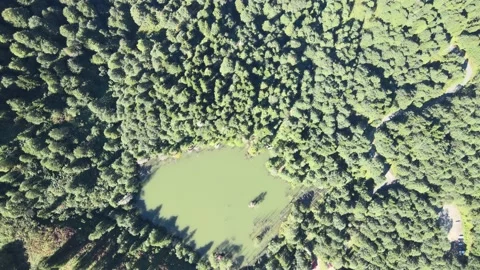 Artvin Karagol Turkey panoramic lake Stock Footage 238674341