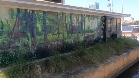 Artwork on building by the river Stock Footage 155303110