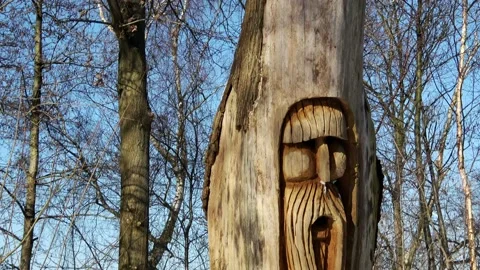 Artwork carved into dead tree . 動画素材 148736427