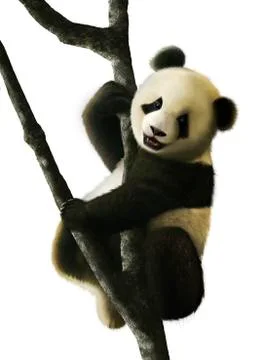 Artwork of Juvenile Giant Panda Stock Illustration