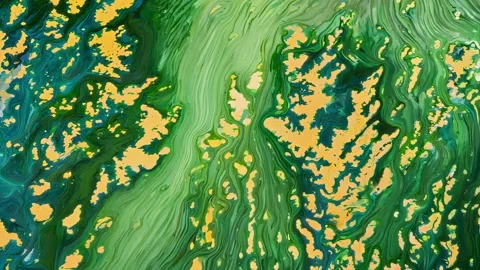 This artwork showcases a dynamic abstract texture featuring vibrant green and Stock Footage 305849382
