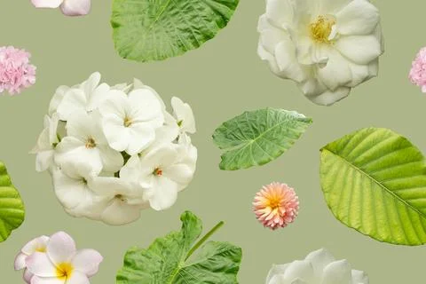 The artwork shows a seamless pattern with white flowers, pink blooms, and g.. Stock Photos