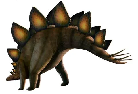 Artwork of a stegosaurus dinosaur Stock Illustration