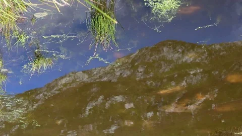 Arty reflection of a mountain in a pond Stock Footage 116508168