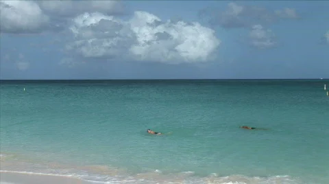 Aruba Beach swimmers-xws Stock Footage