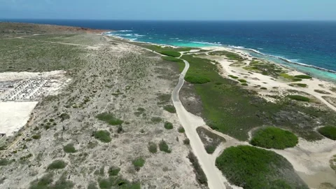 Aruba Vídeo Stock 302620309