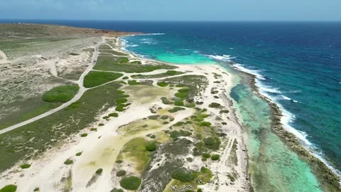 Aruba Video stock 302620446