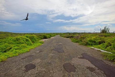 Aruba landscape Stock Photos