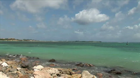 Aruba Rocky Shore-xws Stock Footage