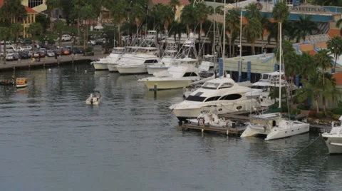 Aruba5196 Stock Footage 997599