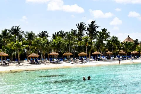 Aruba,Renaissance Island,Caribbean Sea. Sunny beach, palm trees, pink flamingos Stock Photos