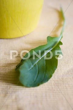 Arugala Leaf