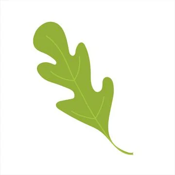 Arugula green leaf. Isolated flat illustration. Illustrazione stock