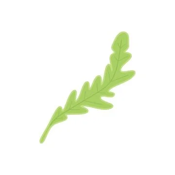 Arugula herb icon flat vector. Rucola salad Illustrazione stock