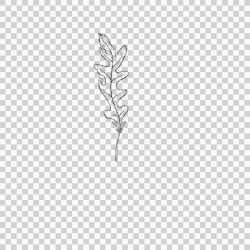 Arugula leaf clipart Stock Illustration