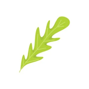 Arugula leaf icon flat vector. Rucola salad Stock Illustration