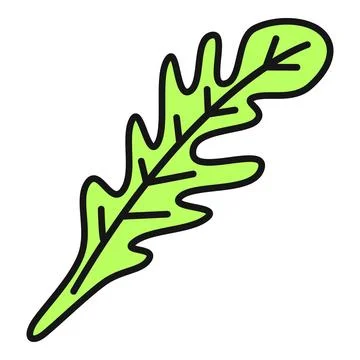 Arugula leaf rocket salad icon illustration Stock Illustration