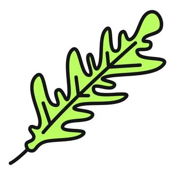 Arugula leaf vector illustration symbolizing healthy salad food Stock Illustration
