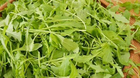 Arugula leaves in a basket. Stock Footage 239712245