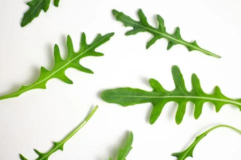 Arugula leaves pattern on white background, fresh green texture, top view 스톡 사진