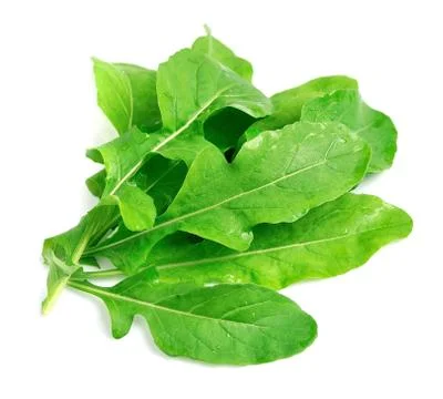 Arugula leaves Foto stock