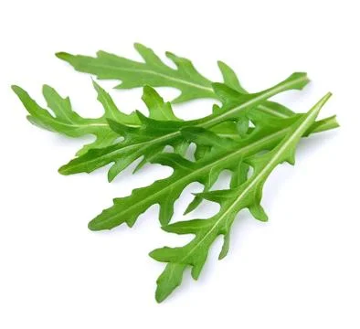 Arugula leaves Foto stock