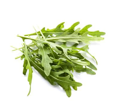Arugula leaves Stock Photos