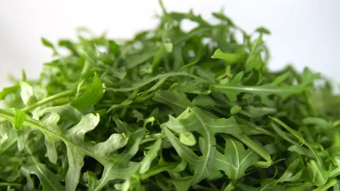 Arugula leaves rotating 360 top view.Fresh arugula Stock Footage 149786647