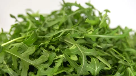 Arugula leaves rotating 360 top view.Fresh arugula Stock Footage 149786649