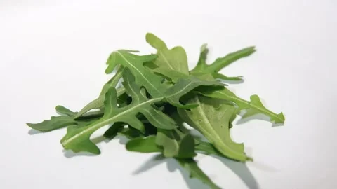 Arugula leaves rotating 360 top view.Fresh arugula Stock Footage 149786769