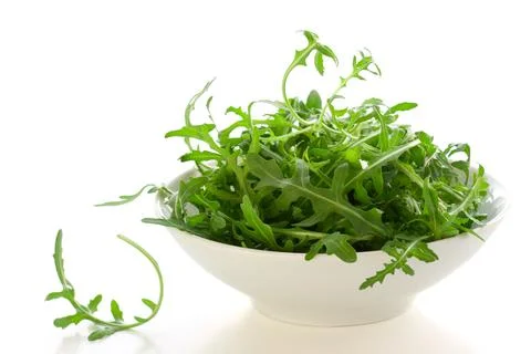 Arugula Stock Photos