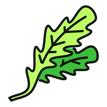 Arugula rocket salad leaf green flat icon Stock Illustration