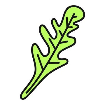 Arugula rocket salad leaf isolated illustration Illustrazione stock