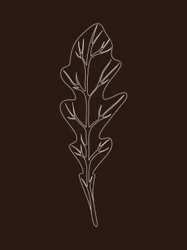 Arugula rucola (rocket salad). Single leaf isolated on black background. Line Stock Illustration
