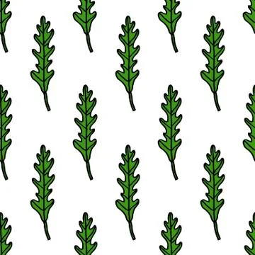 Arugula rucola seamless doodle pattern, vector illustration Stock Illustration