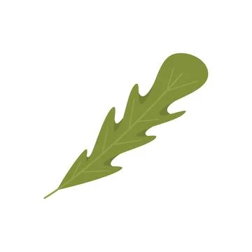 Arugula salad icon flat vector. Rucola leaf Illustrazione stock