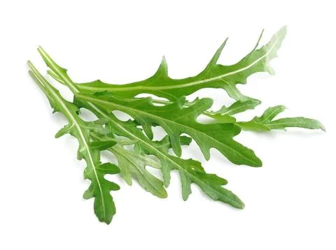 Arugula salad. Foto stock