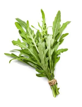 Arugula salad Stock Photos