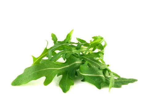 Arugula salad. Rocket leaf lettuce. Stock Photos